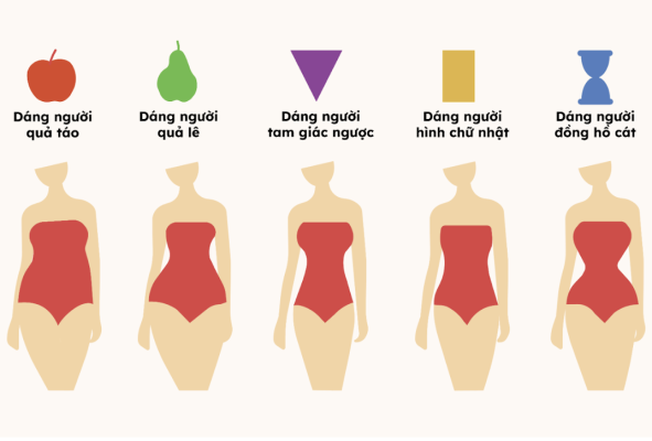 Các kiểu dáng người